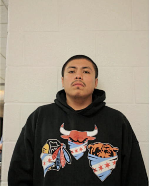 RICKY FERNANDEZ, Cook County, Illinois