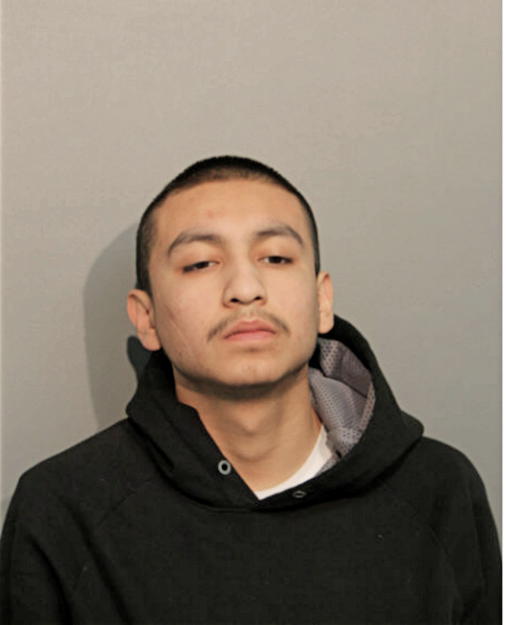 JESUS C GONZALEZ, Cook County, Illinois
