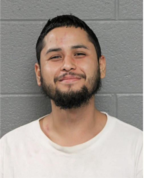 JOSE FRANCISCO HERNANDEZ, Cook County, Illinois