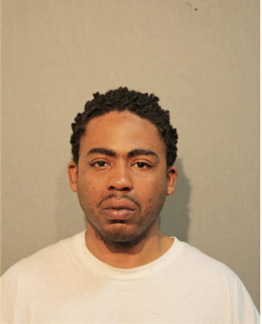 STEVEN G HUDSON, Cook County, Illinois