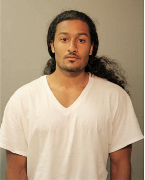 REGGIE L JOHNSON, Cook County, Illinois