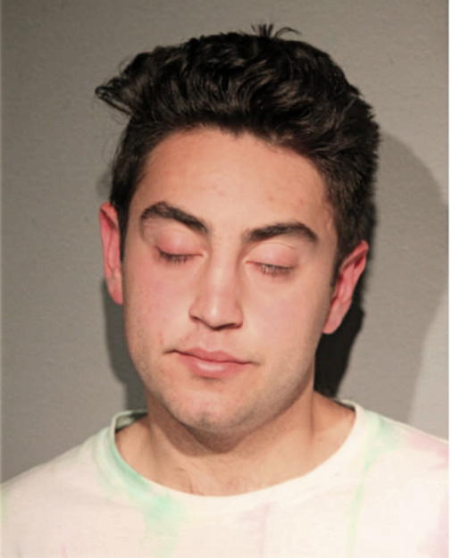 SCOTT HERBERT MENDLINGER, Cook County, Illinois