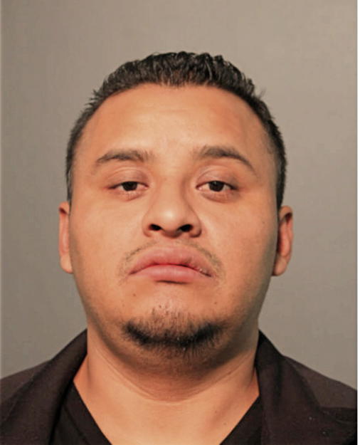 ERIKC PERCASTEGUI-MOCINOS, Cook County, Illinois