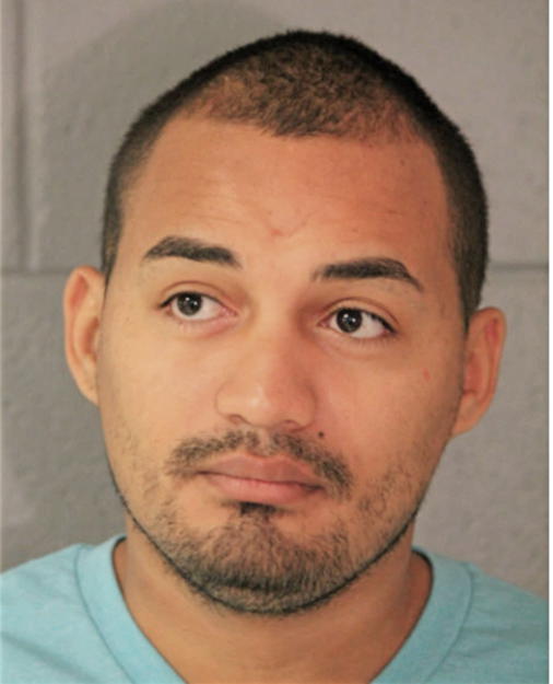 JOSE C PINEDA-FREDERICK, Cook County, Illinois