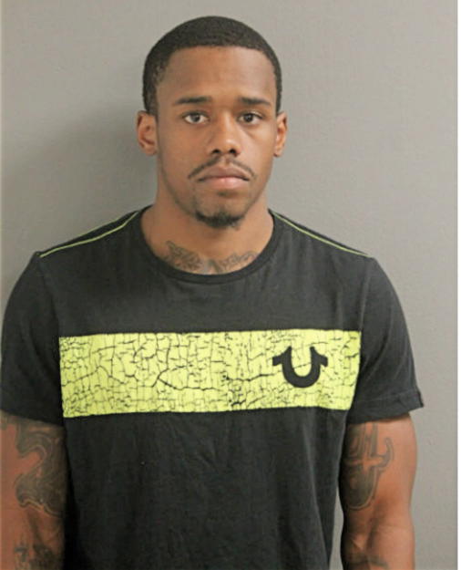 SIRLANCE S RICHARDSON, Cook County, Illinois