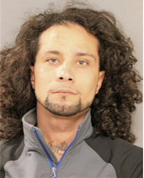 ANGEL F RIVERA, Cook County, Illinois