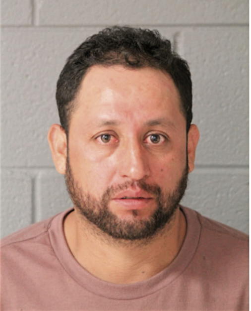 MARIO H RODRIGUEZ, Cook County, Illinois