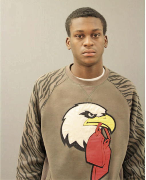 DEVON L RUSHIN, Cook County, Illinois
