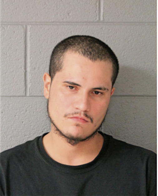 NOEL SANCHEZ, Cook County, Illinois