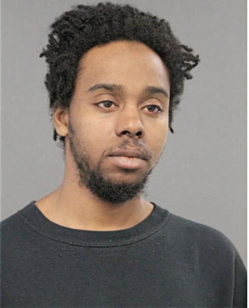 REGINALD R WILLIS, Cook County, Illinois