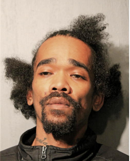 MICHAEL B YOUNG, Cook County, Illinois