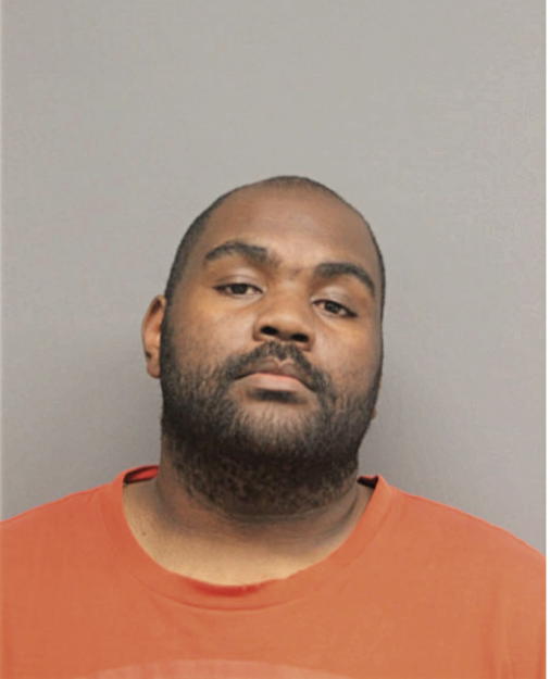 STEVEN J BROWN, Cook County, Illinois