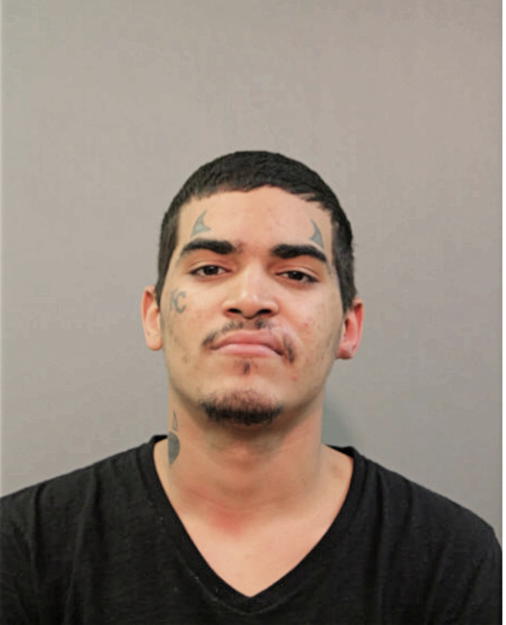 JOHNATHAN BURGOS, Cook County, Illinois