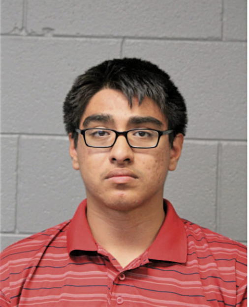 ALEX A CASTELLANOS, Cook County, Illinois