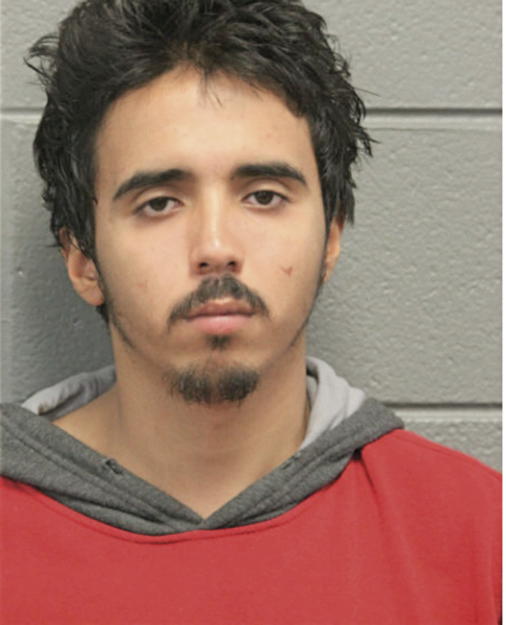 JOSE A ESTRADA, Cook County, Illinois