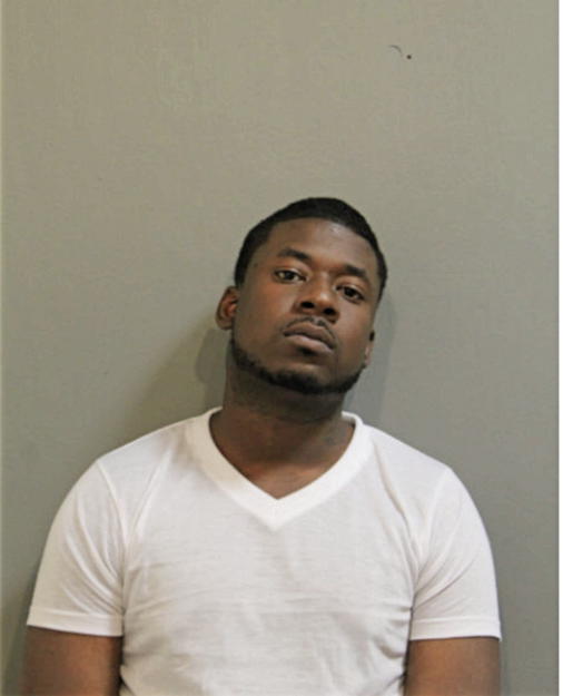 GAVIN K FLASH, Cook County, Illinois
