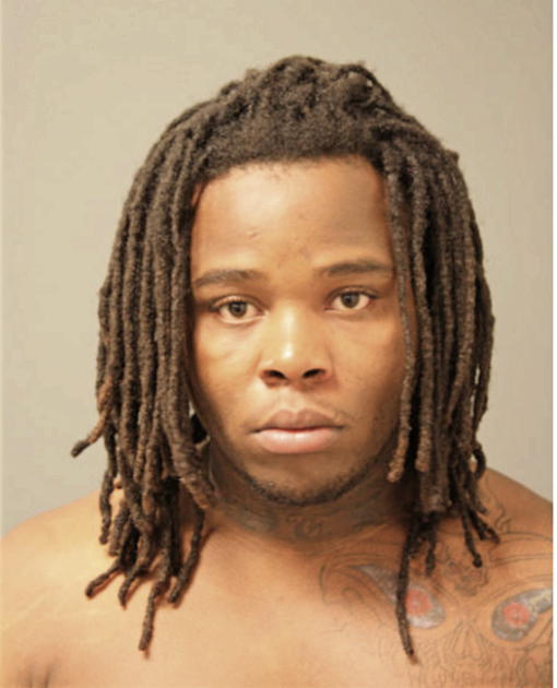 TERRANCE E GOSTON, Cook County, Illinois