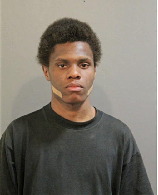 THEOPHLUSE D HAYES, Cook County, Illinois