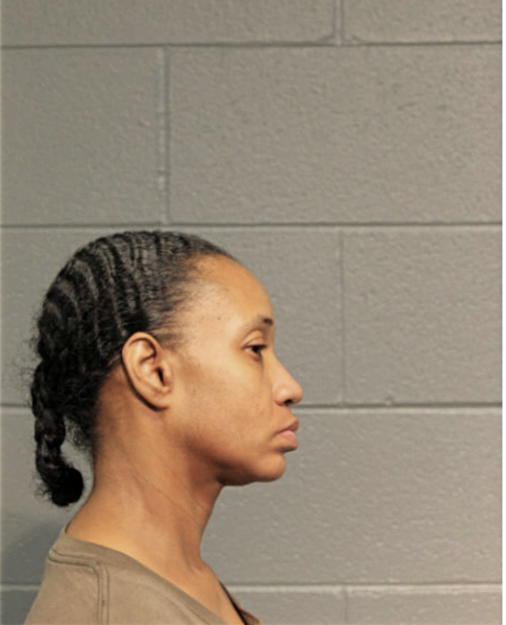 DEBRA L JAMES, Cook County, Illinois