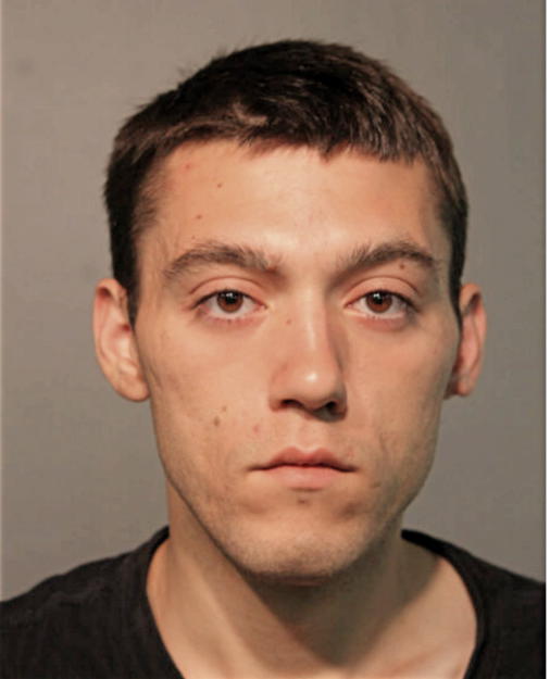 SILVAN KRZALIC, Cook County, Illinois