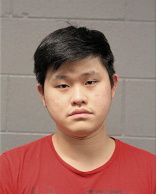 WINSTON LEYWANTONO, Cook County, Illinois