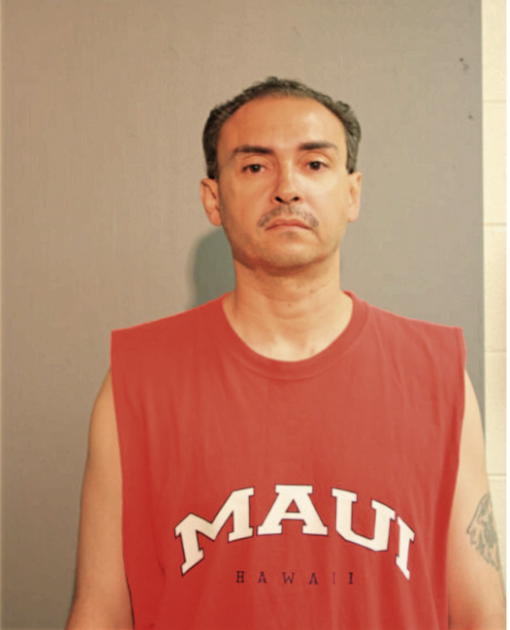ANGEL M NIEVES, Cook County, Illinois