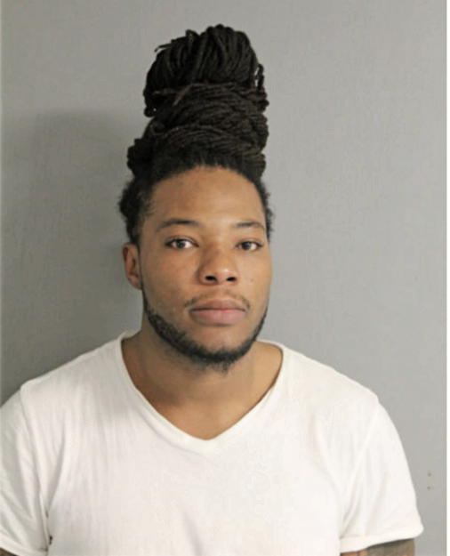 THOMAS M MATTHEWS, Cook County, Illinois