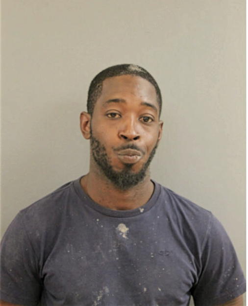 PAUL MJ MCGAULEY, Cook County, Illinois