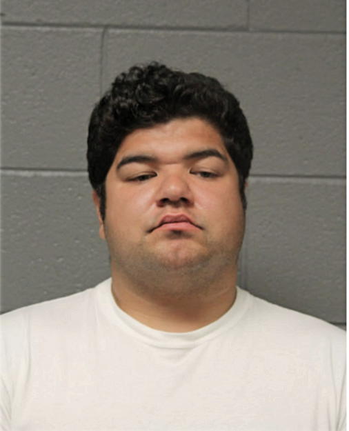 ALEJANDRO MENDOZA, Cook County, Illinois