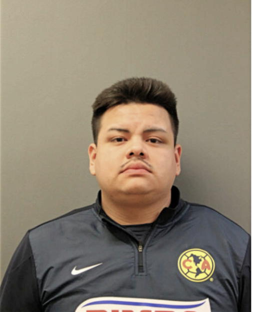 JOSE MENDOZA-MARTINEZ, Cook County, Illinois