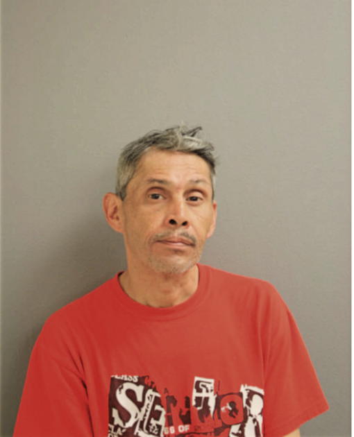 RAMON A MUNIZ, Cook County, Illinois