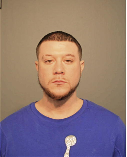 NICHOLAS B PEREZ, Cook County, Illinois