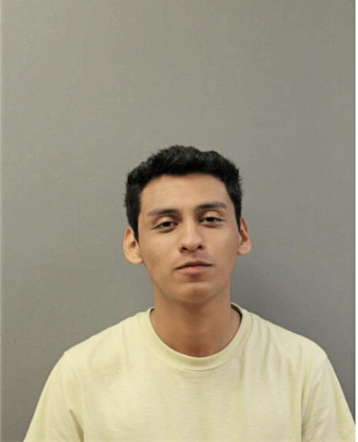 MIGUEL D RAMIREZ, Cook County, Illinois