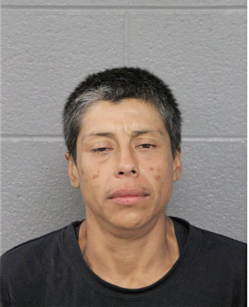 MARIA D RAMOS, Cook County, Illinois