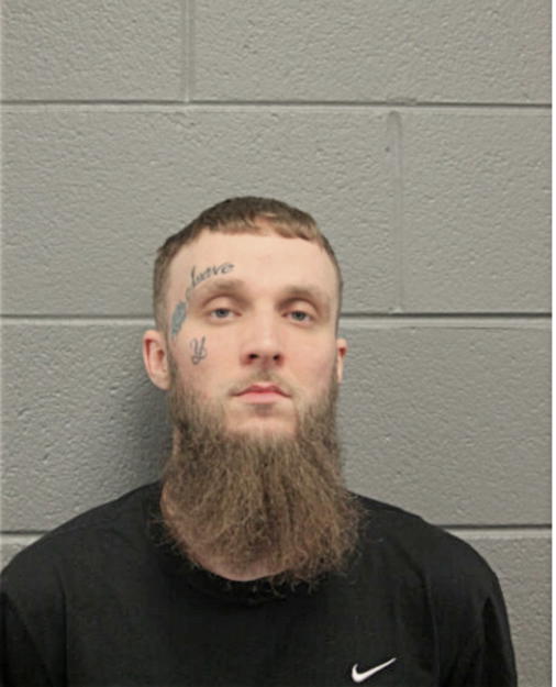 BEAU REYES, Cook County, Illinois