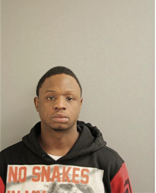 JASON J RISPER, Cook County, Illinois