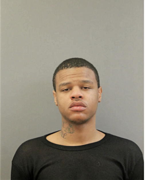 DANIEL M ROBINSON, Cook County, Illinois