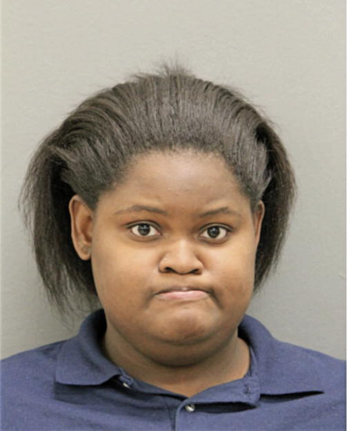 BRANDI K SILVERMAN, Cook County, Illinois