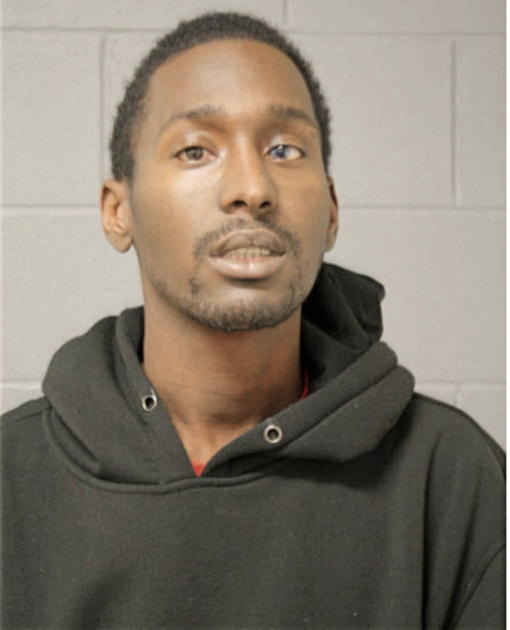 JASON SNOW, Cook County, Illinois