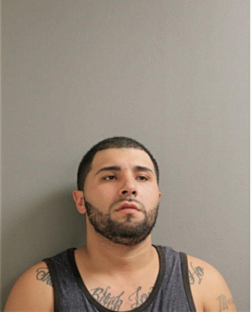 THOMAS D TREVINO, Cook County, Illinois