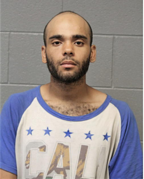 BRYAN VIGO, Cook County, Illinois