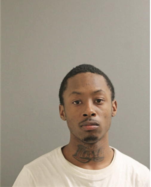 DION YOUNG, Cook County, Illinois