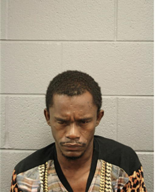 MICHAEL D AGNEW, Cook County, Illinois