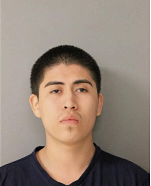 OSWALDO A ALVAREZ, Cook County, Illinois