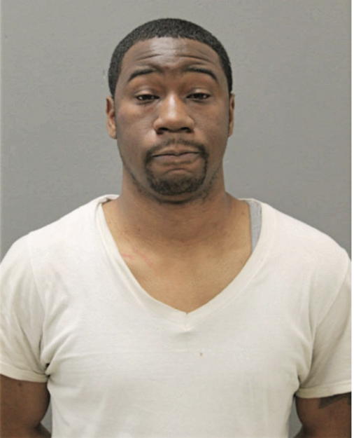 STEVEN A ARGUDIN, Cook County, Illinois