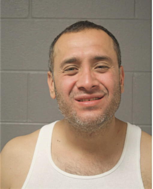 DAVID BAHENA, Cook County, Illinois