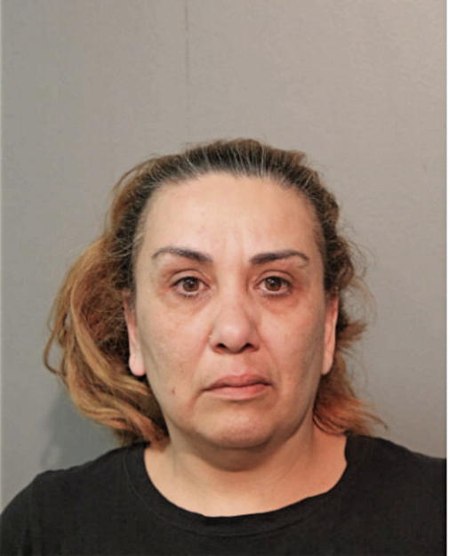 ELIZABETH L BARRAGAN, Cook County, Illinois
