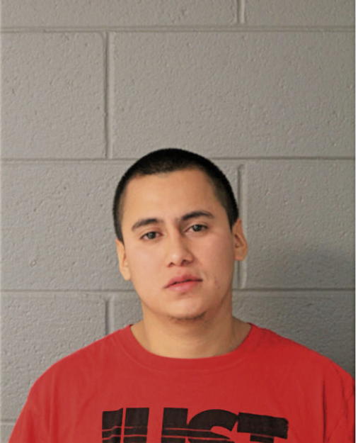 MARTIN CERNA, Cook County, Illinois