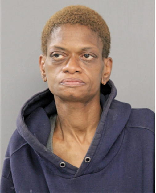 NICOLE R CONNER, Cook County, Illinois