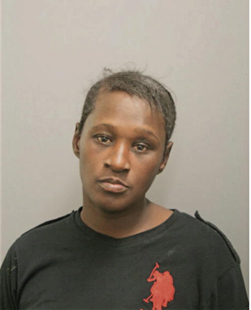 LOLITA T DIXON, Cook County, Illinois
